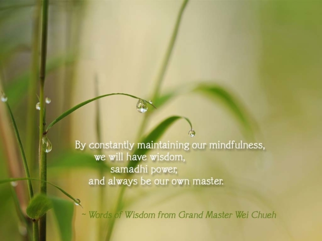 Words of Wisdom from Grand Master Wei Chueh 09