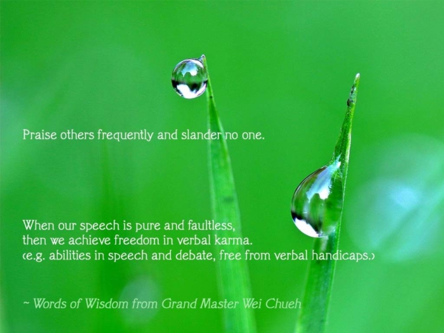 Words of Wisdom from Grand Master Wei Chueh 18