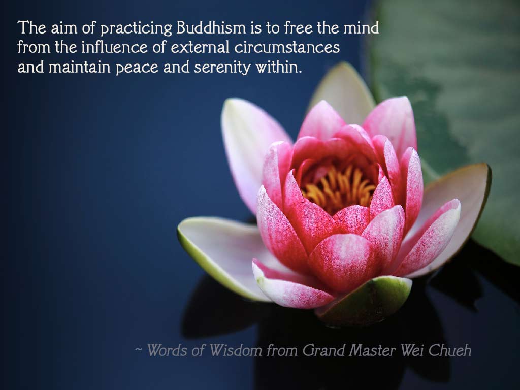 Words of Wisdom from Grand Master Wei Chueh 21