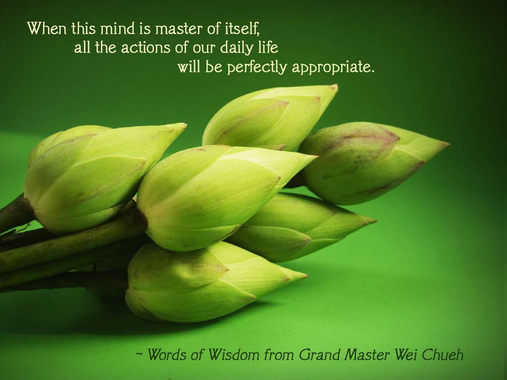Words of Wisdom from Grand Master Wei Chueh 24