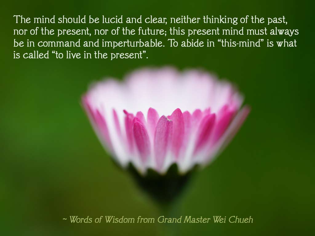 Words of Wisdom from Grand Master Wei Chueh 28
